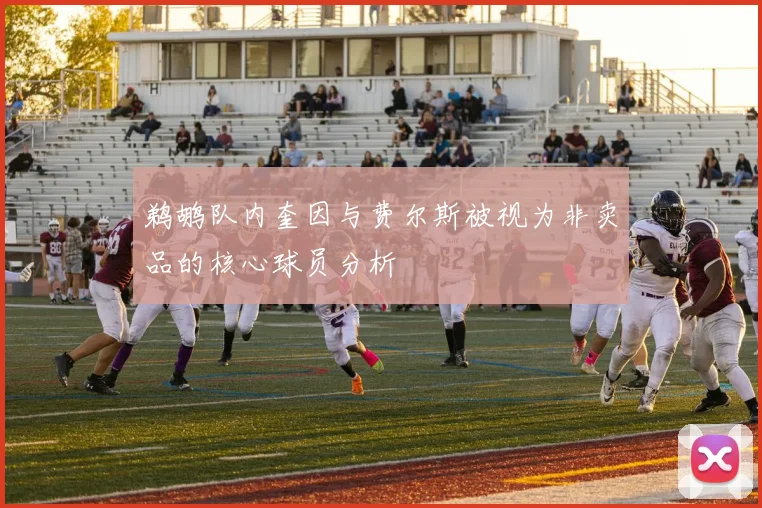鹈鹕队内奎因与费尔斯被视为非卖品的核心球员分析